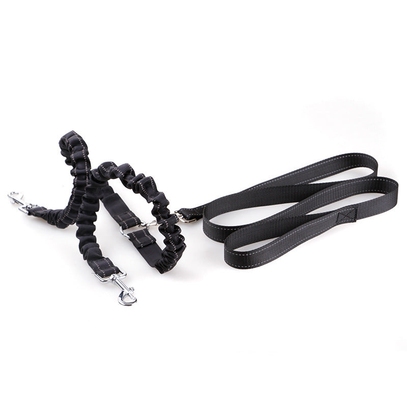 Two-part black dual-lead dog leash with long flat strap and bungee lead on a white background