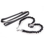 Rolled black dog leash with metal clip on a white background