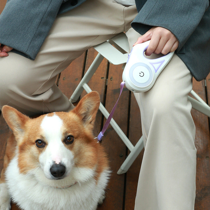 PawEco™ NightSafe LED Retractable Leash